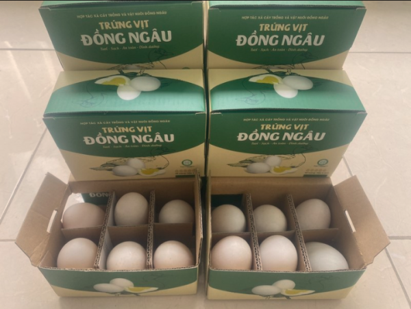 Trứng vịt Đồng Ngâu