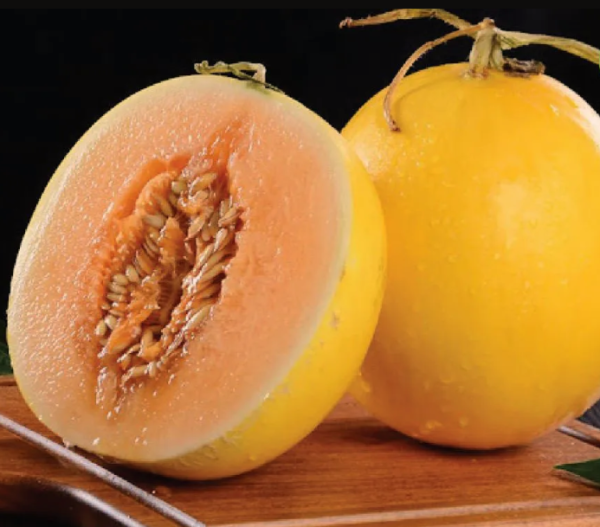 Dưa vàng Kim Hồng Ngọc Tuân Na