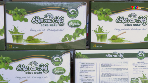 Bột rau má Đồng Ngâu